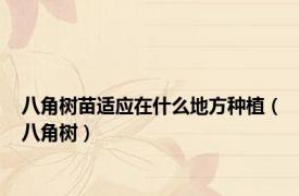 八角树苗适应在什么地方种植（八角树）