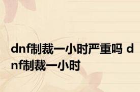 dnf制裁一小时严重吗 dnf制裁一小时 