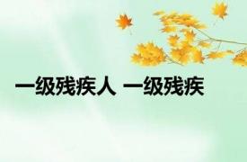一级残疾人 一级残疾 