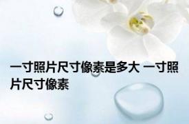 一寸照片尺寸像素是多大 一寸照片尺寸像素 