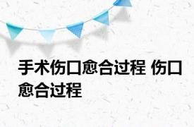 手术伤口愈合过程 伤口愈合过程 