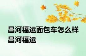 昌河福运面包车怎么样 昌河福运 