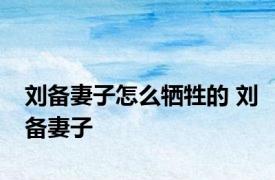 刘备妻子怎么牺牲的 刘备妻子 