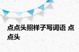 点点头照样子写词语 点点头 