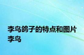李鸟鸽子的特点和图片 李鸟 