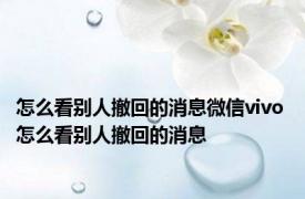 怎么看别人撤回的消息微信vivo 怎么看别人撤回的消息 