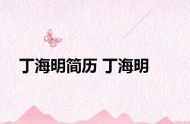 丁海明简历 丁海明 
