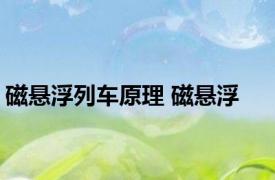 磁悬浮列车原理 磁悬浮 