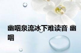 幽咽泉流冰下难读音 幽咽 