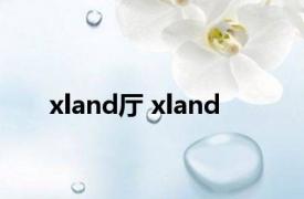 xland厅 xland 