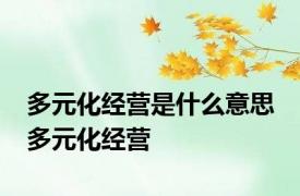 多元化经营是什么意思 多元化经营 