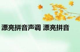 漂亮拼音声调 漂亮拼音 