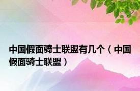中国假面骑士联盟有几个（中国假面骑士联盟）