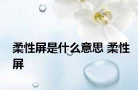 柔性屏是什么意思 柔性屏 