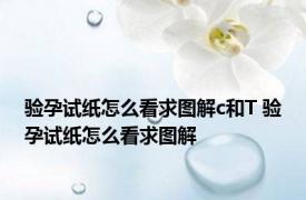 验孕试纸怎么看求图解c和T 验孕试纸怎么看求图解 