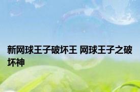 新网球王子破坏王 网球王子之破坏神 