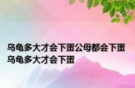 乌龟多大才会下蛋公母都会下蛋 乌龟多大才会下蛋 