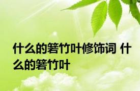 什么的箬竹叶修饰词 什么的箬竹叶 