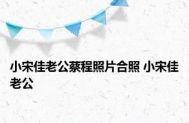 小宋佳老公蔡程照片合照 小宋佳老公 