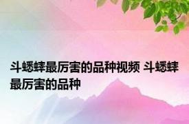 斗蟋蟀最厉害的品种视频 斗蟋蟀最厉害的品种 