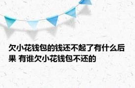 欠小花钱包的钱还不起了有什么后果 有谁欠小花钱包不还的 