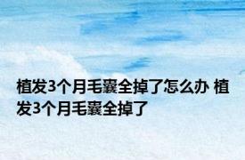植发3个月毛囊全掉了怎么办 植发3个月毛囊全掉了 