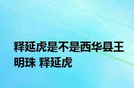 释延虎是不是西华县王明珠 释延虎 