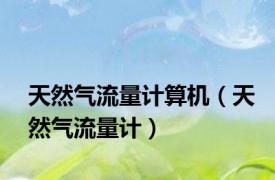 天然气流量计算机（天然气流量计）