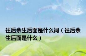 往后余生后面是什么词（往后余生后面是什么）