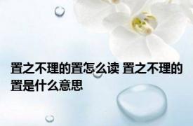 置之不理的置怎么读 置之不理的置是什么意思 