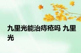 九里光能治痔疮吗 九里光 