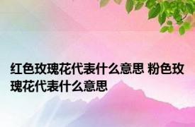 红色玫瑰花代表什么意思 粉色玫瑰花代表什么意思 