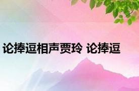 论捧逗相声贾玲 论捧逗 