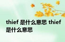 thief 是什么意思 thief是什么意思 