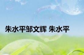朱水平邹文辉 朱水平 
