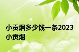 小贡烟多少钱一条2023 小贡烟 