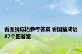 看图猜成语参考答案 看图猜成语87个图答案 