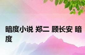 暗度小说 郑二 顾长安 暗度 