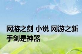 网游之剑 小说 网游之新手剑是神器 