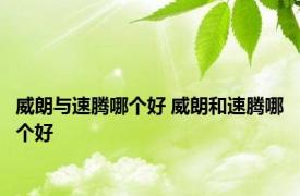 威朗与速腾哪个好 威朗和速腾哪个好 