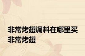 非常烤翅调料在哪里买 非常烤翅 
