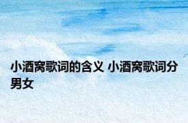 小酒窝歌词的含义 小酒窝歌词分男女 