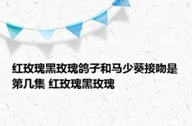 红玫瑰黑玫瑰鸽子和马少葵接吻是第几集 红玫瑰黑玫瑰 