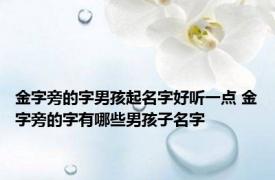 金字旁的字男孩起名字好听一点 金字旁的字有哪些男孩子名字 