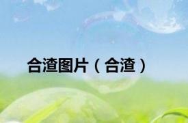 合渣图片（合渣）