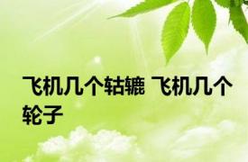 飞机几个轱辘 飞机几个轮子 