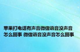 苹果打电话有声音微信语音没声音怎么回事 微信语音没声音怎么回事 