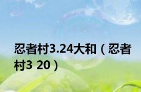 忍者村3.24大和（忍者村3 20）