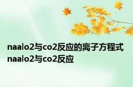naalo2与co2反应的离子方程式 naalo2与co2反应 