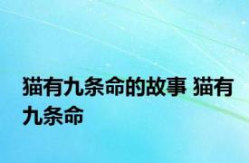 猫有九条命的故事 猫有九条命 